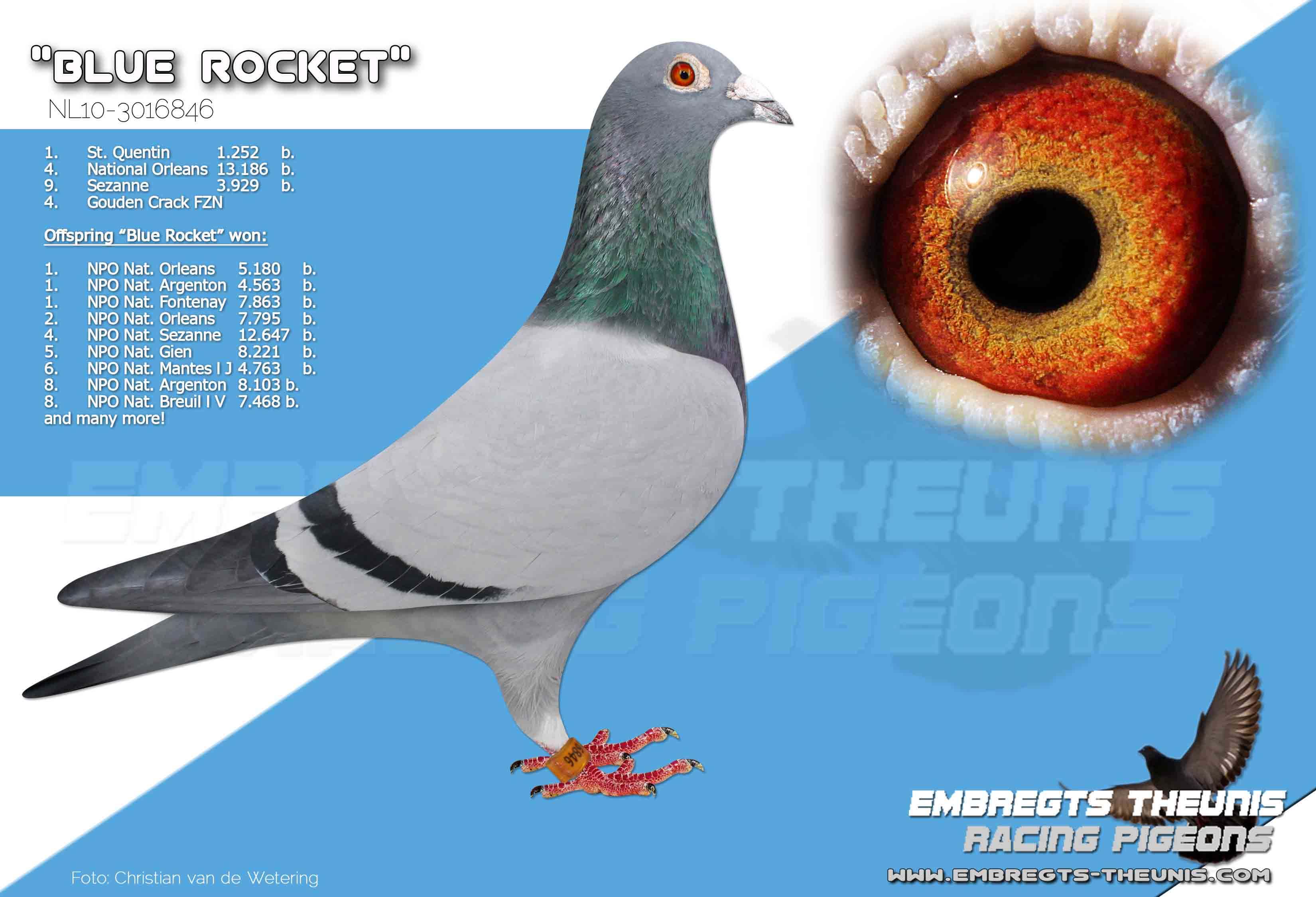 Blue-Rocket-NL10-3016846