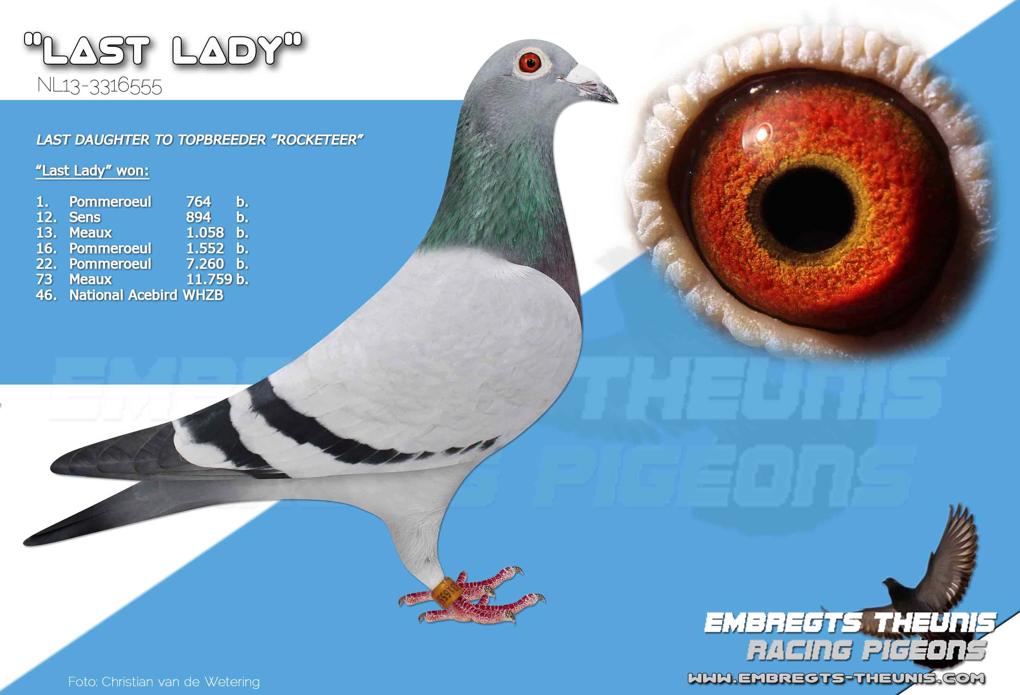 Last-Lady-NL13-3316555
