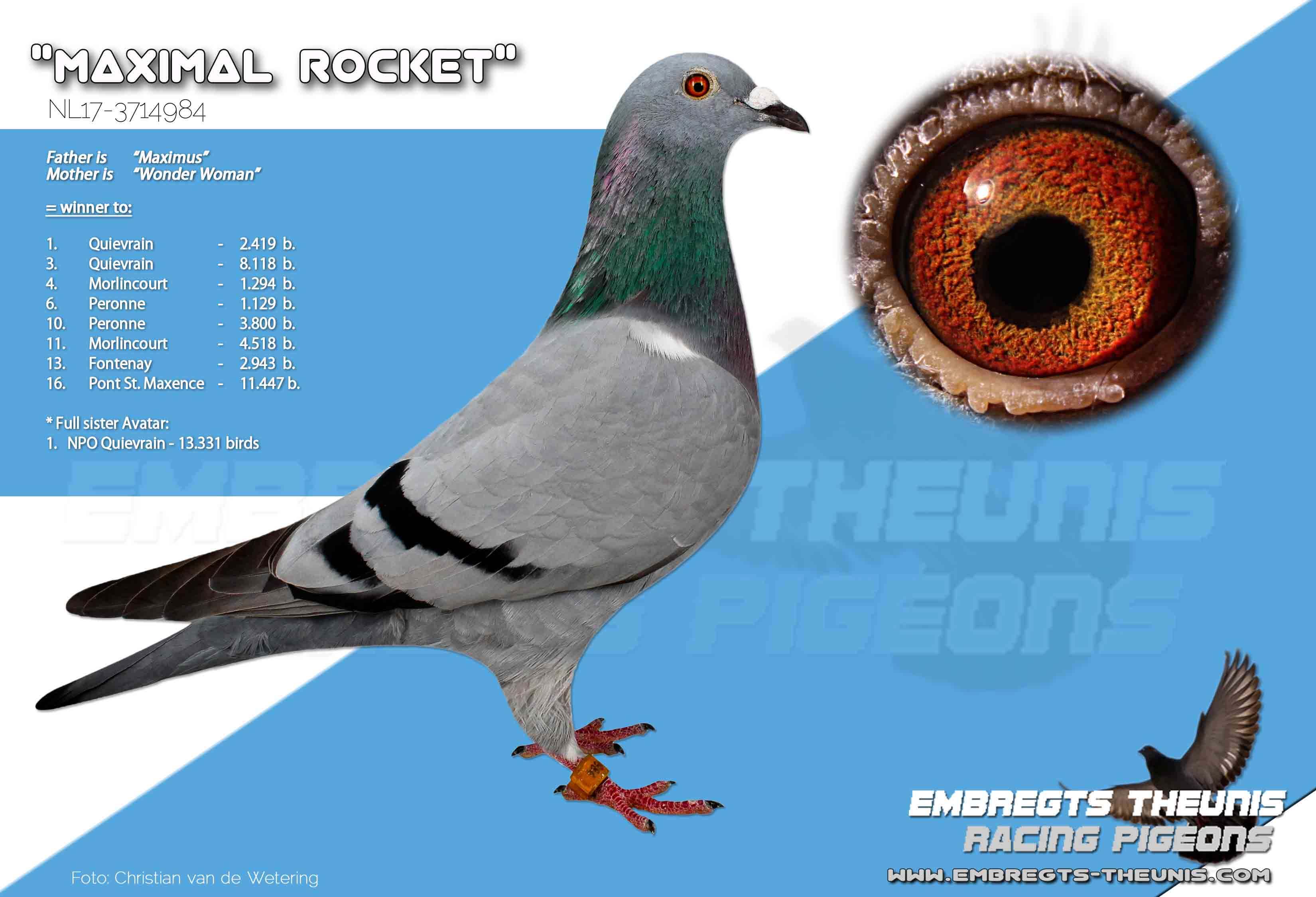 Maximal-Rocket-NL17-3714984