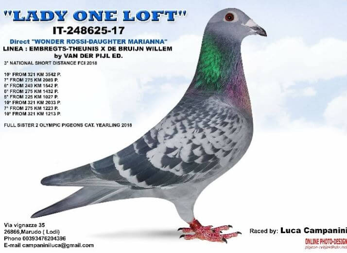 lady-one-loft