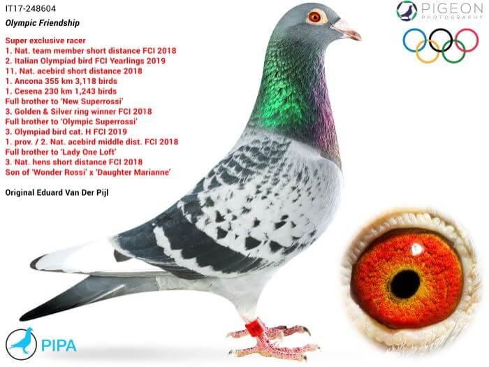 Olympic-Friendship-IT17-248604