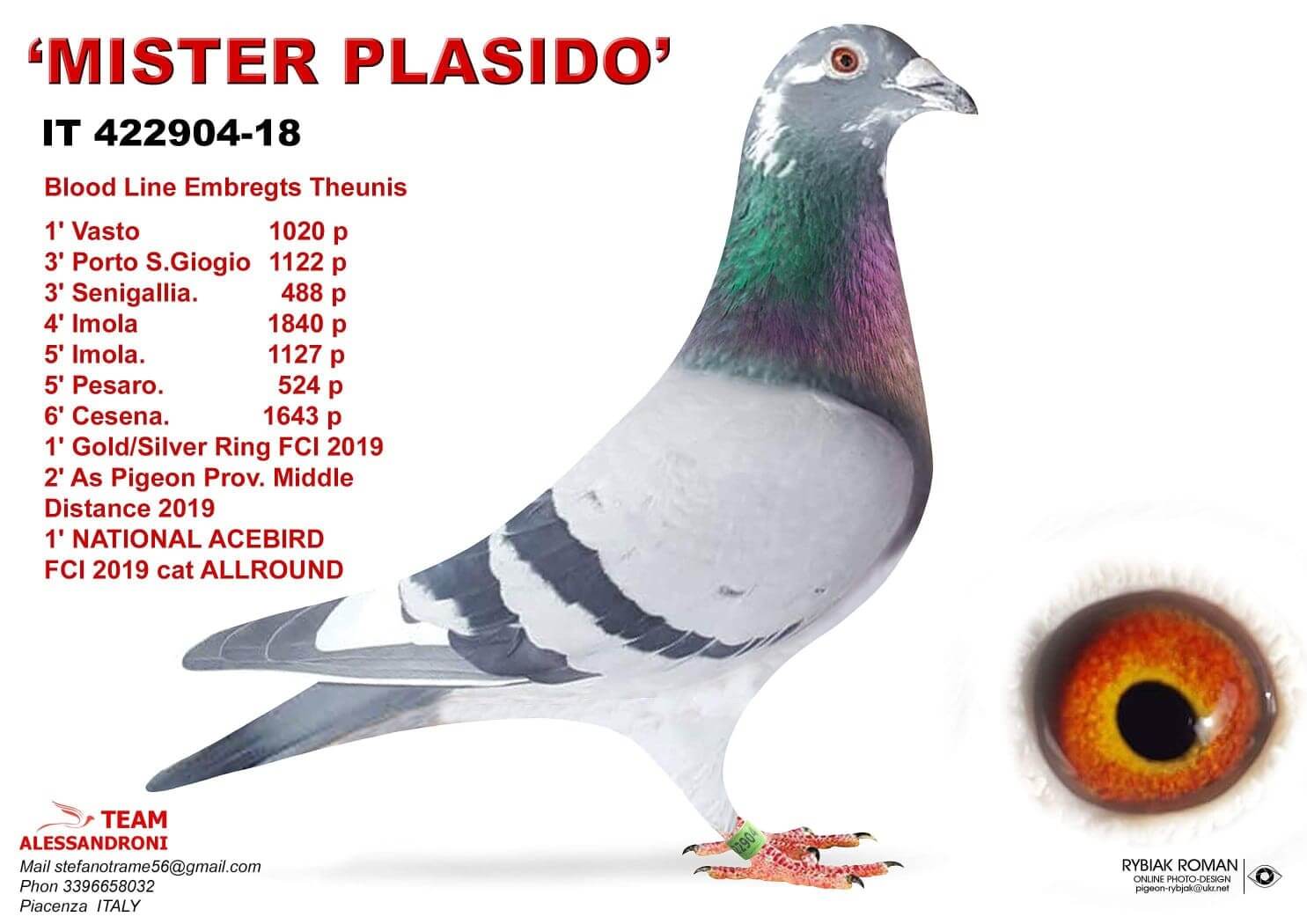 mister-plasido-it-422904-18